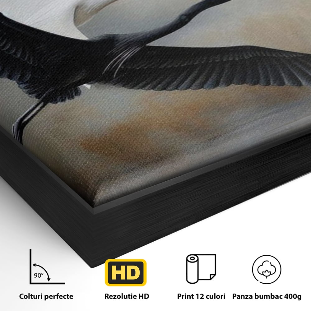 Detaliu al suprafetei: tablou canvas cu doua pasari in zbor, in rama de aluminiu negru